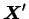 ${\mbox{\boldmath$X$}}'$