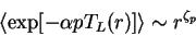 \begin{displaymath}
\langle \exp[-\alpha p T_L(r)] \rangle \sim r^{\zeta_p}
\end{displaymath}