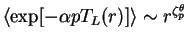 $\langle \exp[-\alpha p T_L(r)] \rangle \sim r^{\zeta_p^{\theta}}$